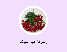 زخرفة عيد الميلاد