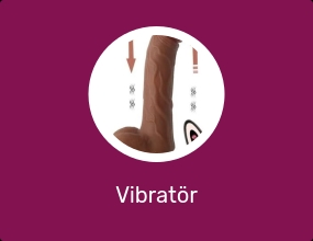 Vibratör
