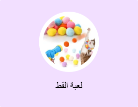 لعبة القط