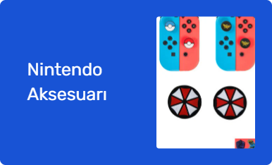 Nintendo Aksesuarı