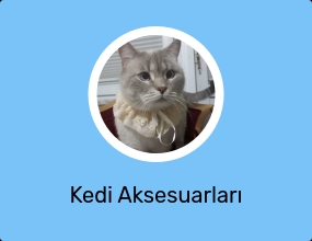 Kedi Aksesuarları