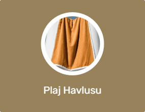 Plaj Havlusu