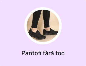 Pantofi fără toc