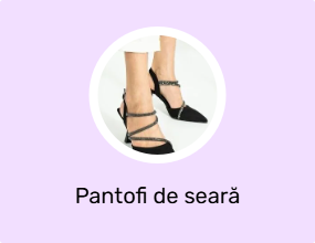 Pantofi de seară