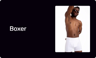 Boxer