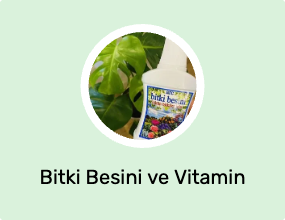 Bitki Besini ve Vitamin