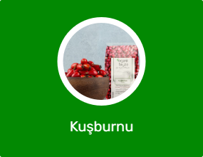 Kuşburnu
