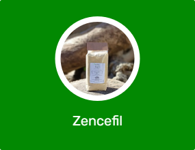 Zencefil