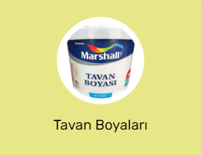 Tavan Boyaları