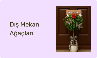 Dış Mekan Ağaçları