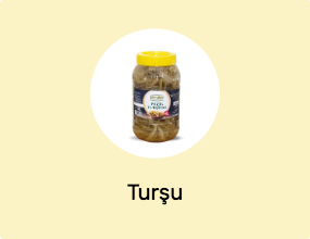 Turşu