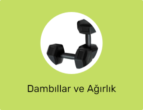 Dambıllar ve Ağırlık Plakaları