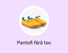 Pantofi fără toc