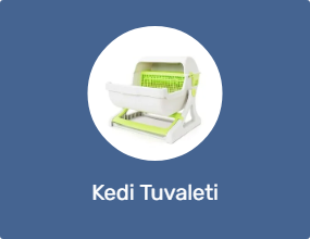 Kedi Tuvaleti