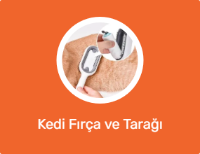 Kedi Fırça ve Tarağı