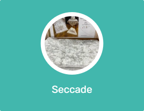 Seccade