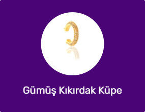 Gümüş Kıkırdak Küpe