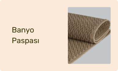 Banyo Paspası
