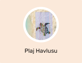 Plaj Havlusu