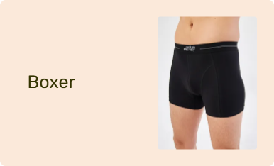 Boxer