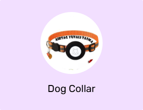 Dog Collar