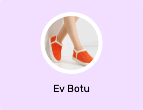 Ev Botu