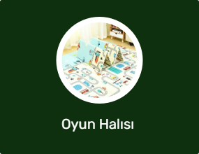Oyun Halısı 