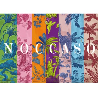 NOCCASO