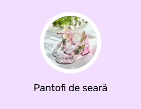 Pantofi de seară