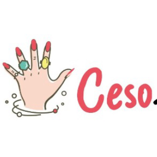 Ceso Accesories logo