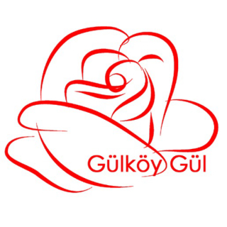 GÜLKÖYGÜL logo