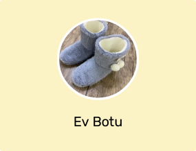 Ev Botu