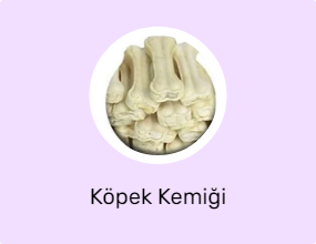 Köpek Kemiği