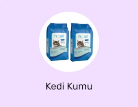 Kedi Kumu