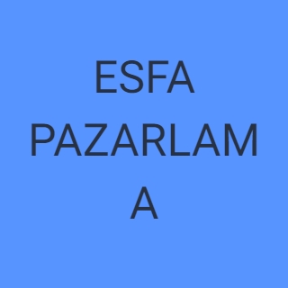 ESFA GLOBAL
