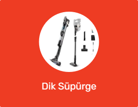 Dik Süpürge
