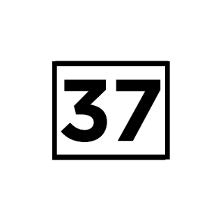 37NUMARA logo