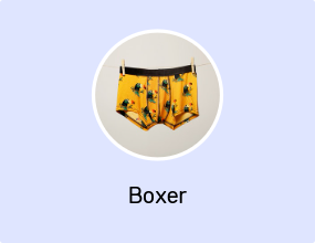 Boxer