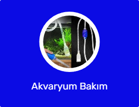 Akvaryum Bakım Malzemesi