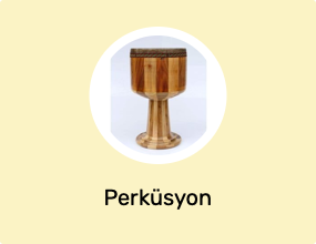 Perküsyon
