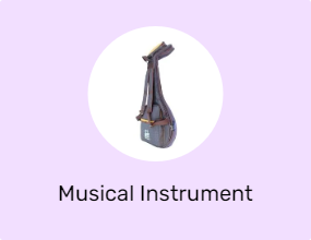 Musical Instrument Cases