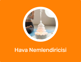 Hava Nemlendiricisi