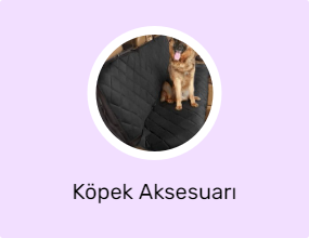 Köpek Aksesuarı