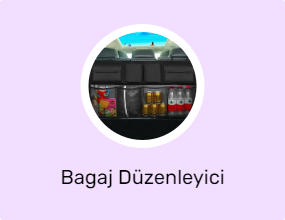 Bagaj Düzenleyici