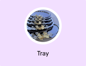 Tray