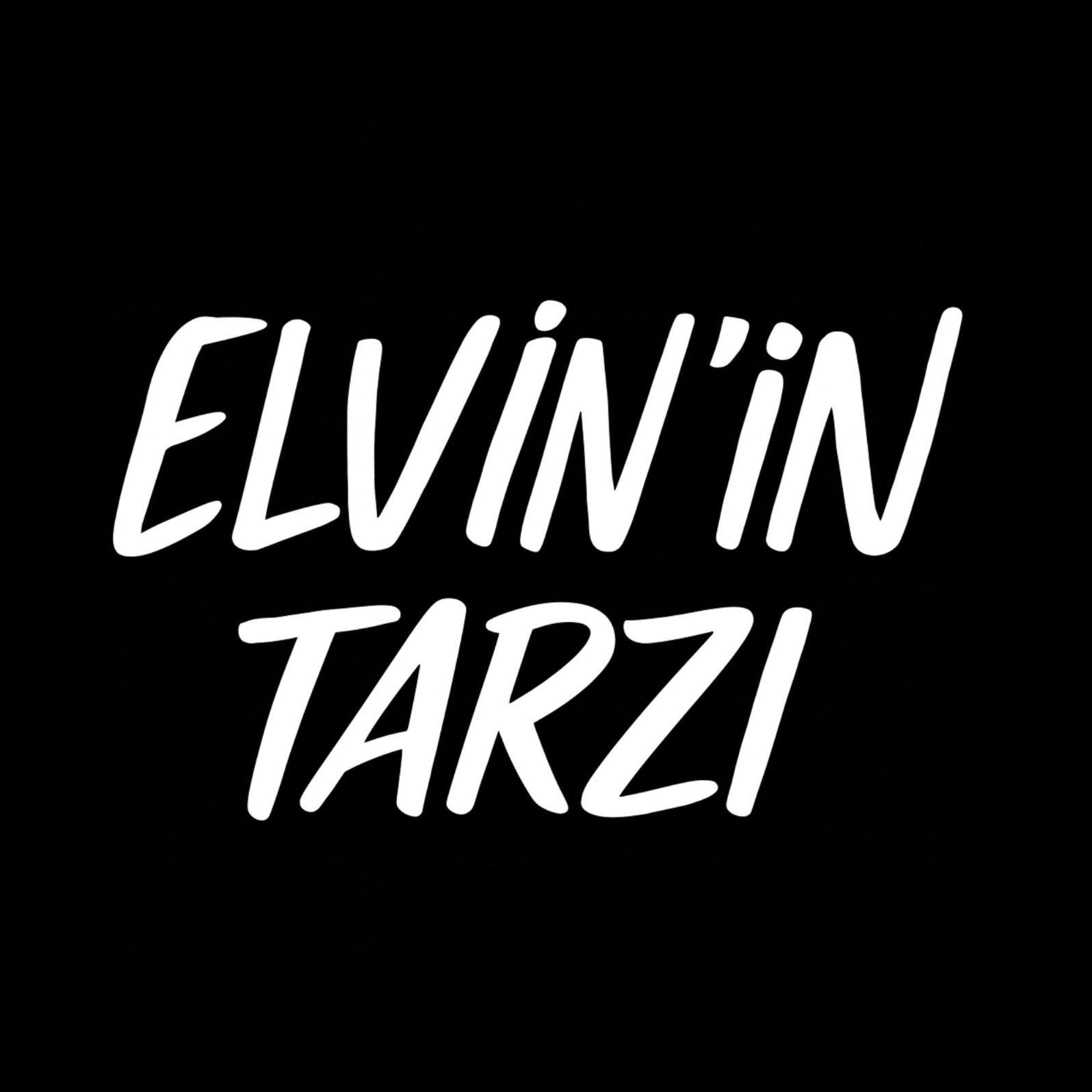 ELVİNİN TARZI logo