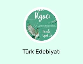 Türk Edebiyatı