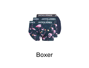 Boxer
