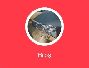 Broş