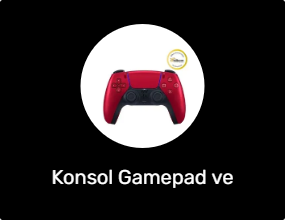 Konsol Gamepad ve Joystick